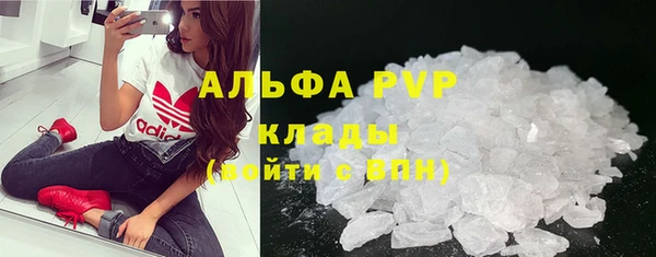 сатива Белокуриха