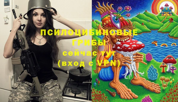 сатива Белокуриха